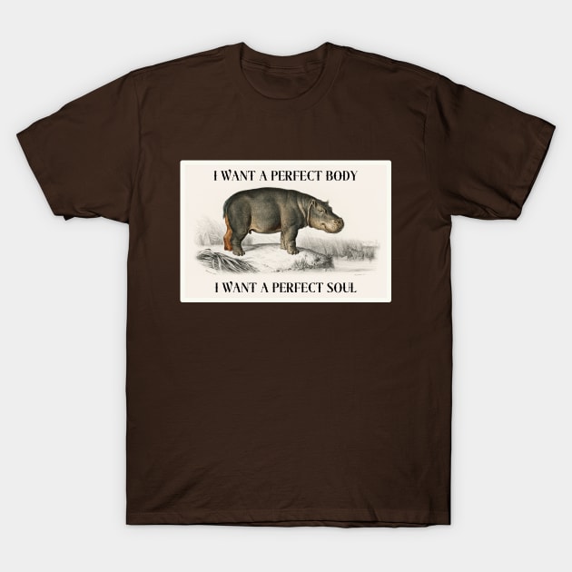 I want a perfect Body T-Shirt by Teessential